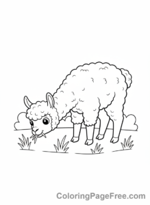 Alpaca coloring page - Alpaca eating grass