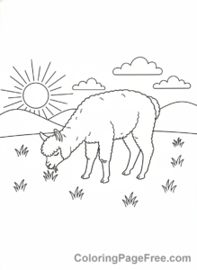 Alpaca coloring page - Alpaca grazing field