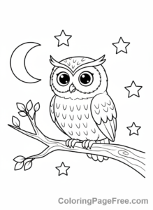 Animals coloring page - Owl on branch night