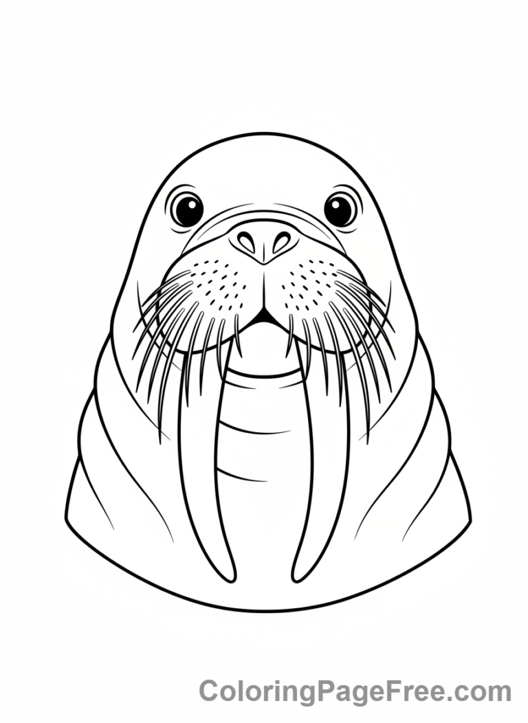 Arctic Animals coloring page - Walrus face close-up