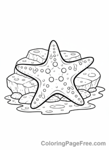 Beach coloring page - Starfish on rock