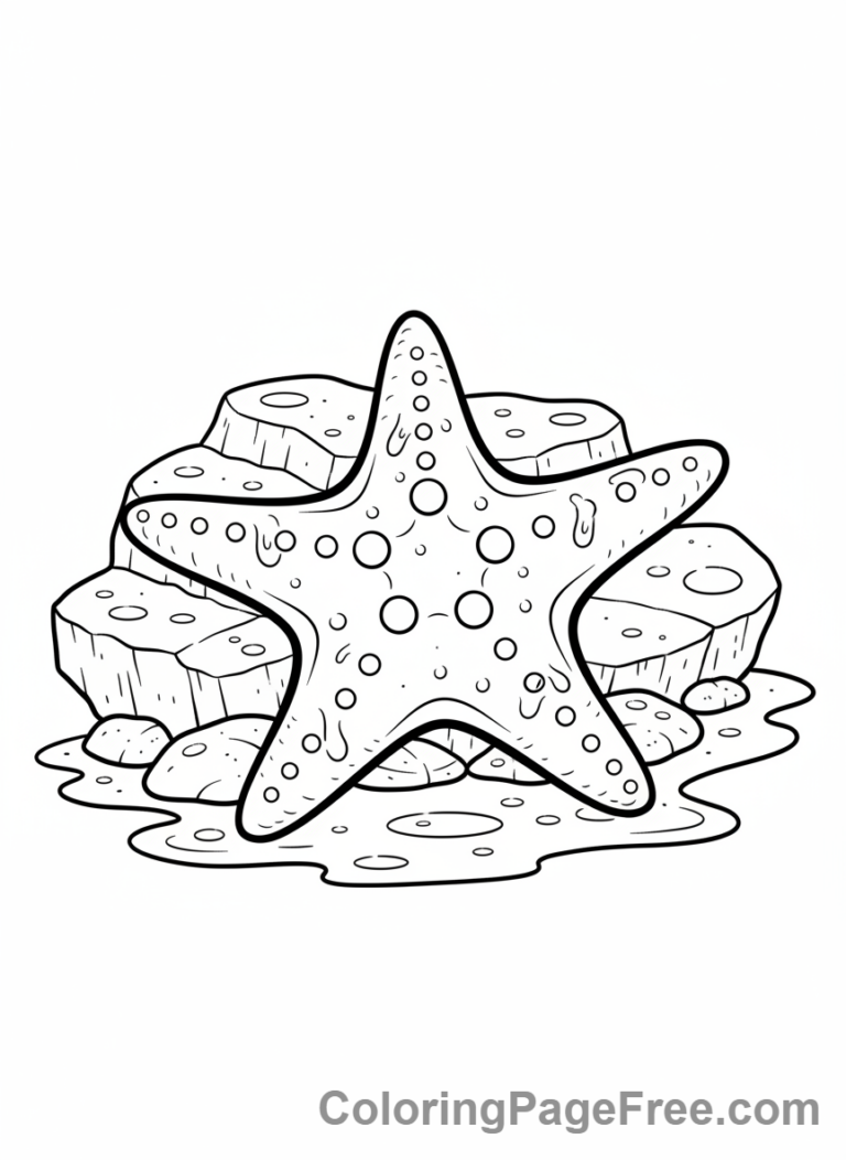 Beach coloring page - Starfish on rock