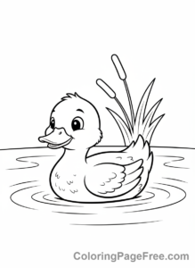 Bird coloring page - Duck swimming pond