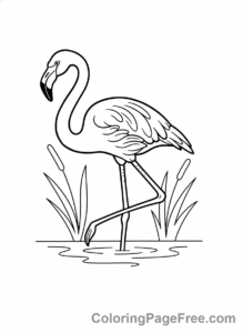 Bird coloring page - Flamingo standing water