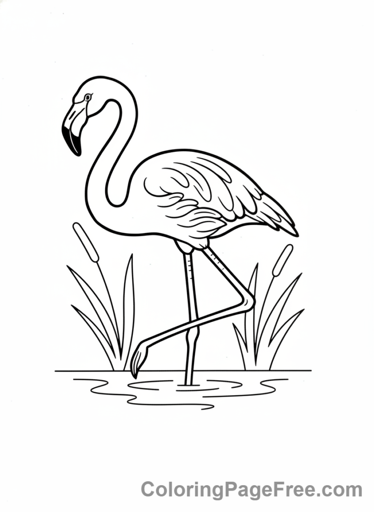 Bird coloring page - Flamingo standing water