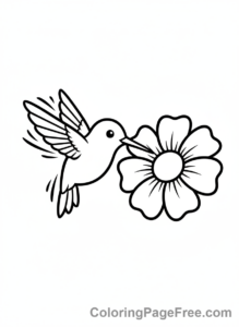 Bird coloring page - Hummingbird feeding flower