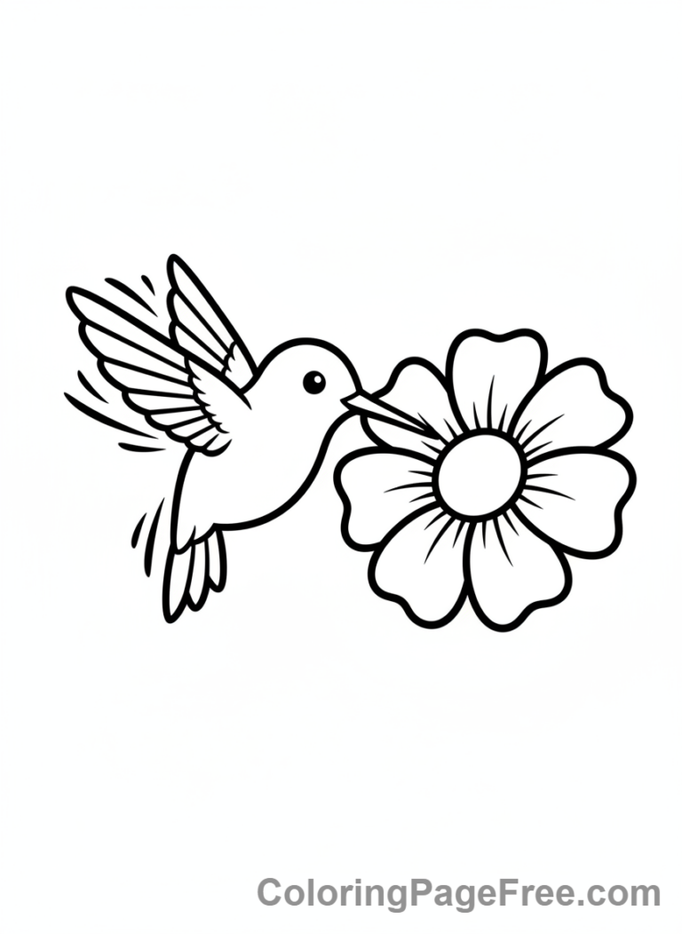 Bird coloring page - Hummingbird feeding flower