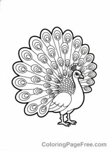 Bird coloring page - Peacock showing feathers