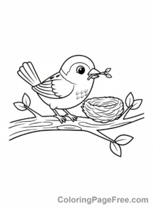 Bird coloring page - Sparrow building nest