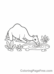 Camel coloring page - Camel Drinks Water
