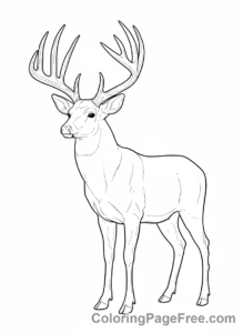 Deer coloring page - Buck large antlers