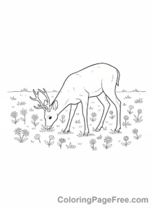 Deer coloring page - Deer grazing field
