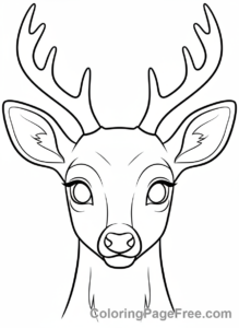 Deer coloring page - Deer head close-up