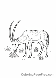 Desert Animals coloring page - Addax Antelope grazing