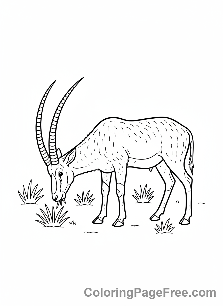 Desert Animals coloring page - Addax Antelope grazing