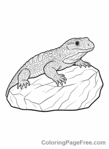 Desert Animals coloring page - Gila Monster resting rock