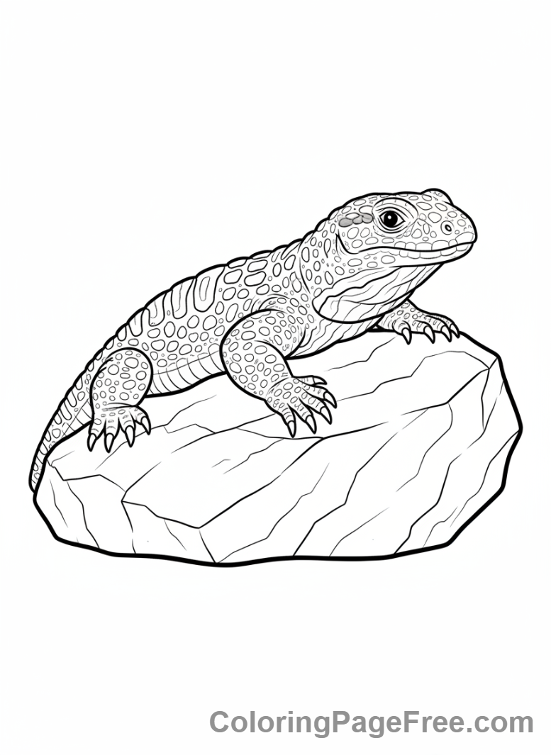 Desert Animals coloring page - Gila Monster resting rock