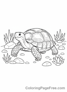 Desert Animals coloring page - Tortoise walking slowly