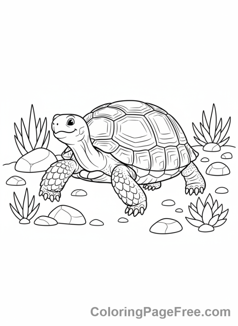 Desert Animals coloring page - Tortoise walking slowly