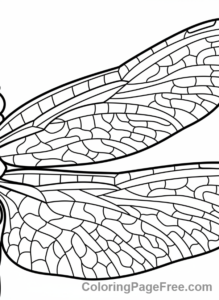 Dragonfly coloring page - Dragonfly wing pattern