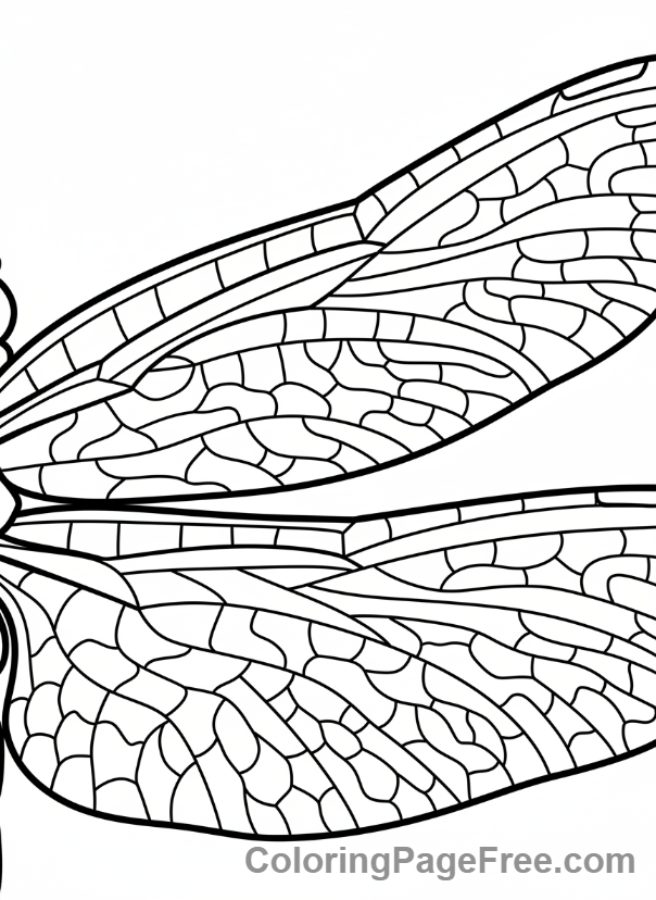 Dragonfly coloring page - Dragonfly wing pattern