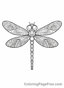 Dragonfly coloring page - Stylized dragonfly pattern