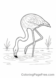 Flamingo coloring page - Flamingo feeding water
