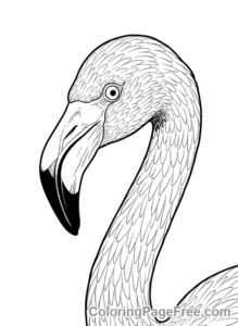 Flamingo coloring page - Flamingo head close-up