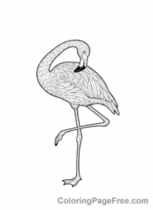 Flamingo coloring page - Flamingo preening feathers