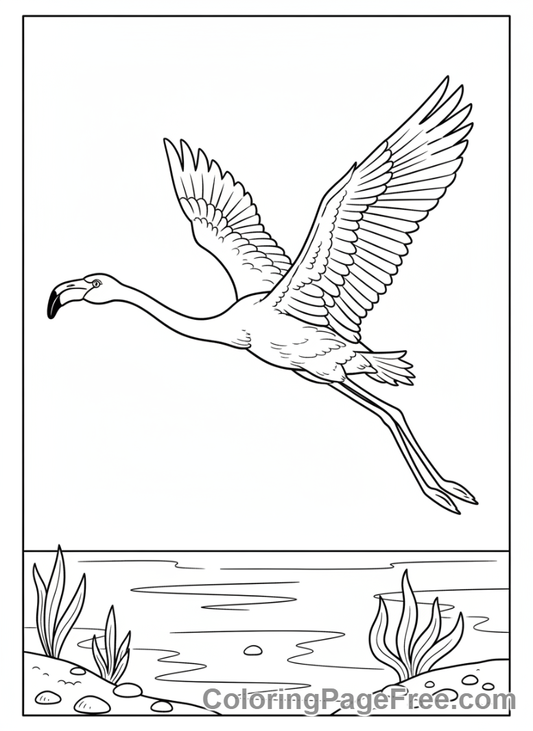 Flamingo coloring page - Flying flamingo soaring