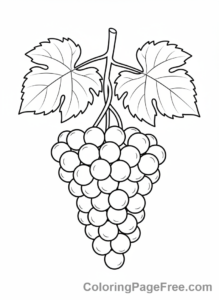 Fruits coloring page - Bunch of grapes