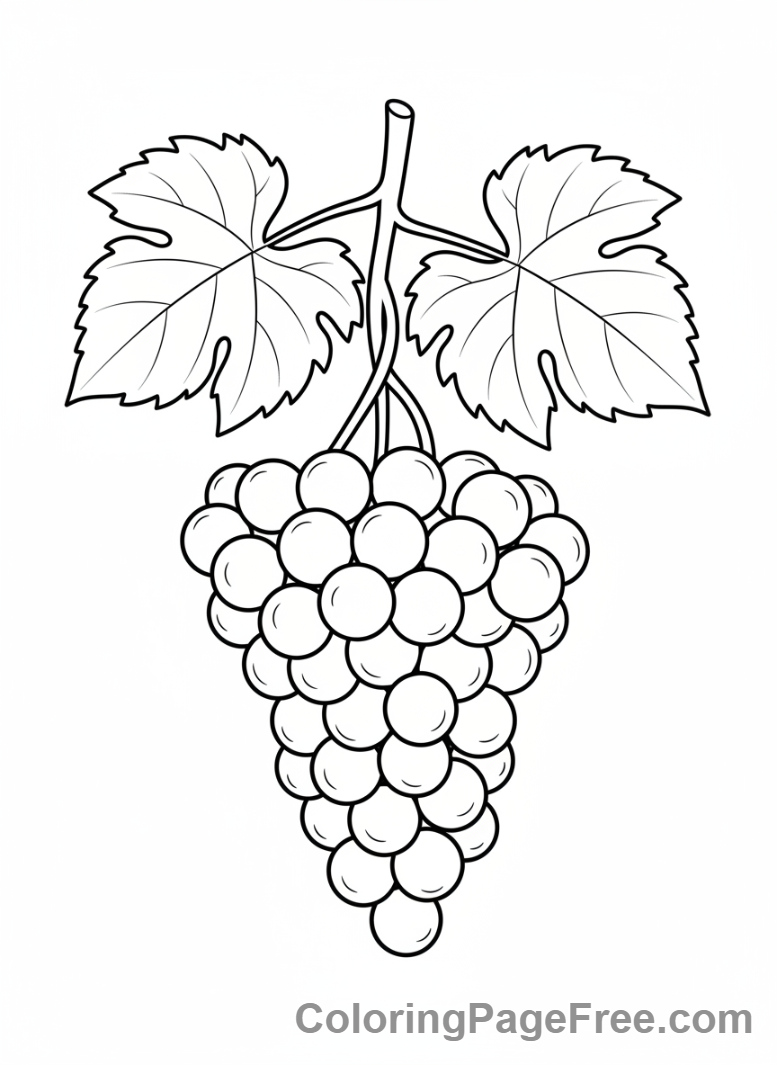Fruits coloring page - Bunch of grapes