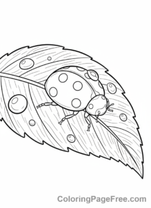 Garden coloring page - Ladybug on leaf