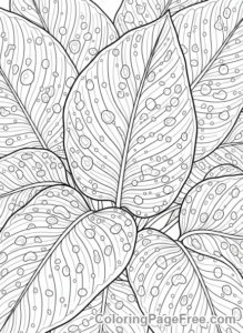 Garden coloring page - Raindrops on leaves