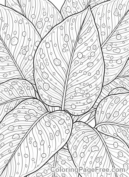 Garden coloring page - Raindrops on leaves