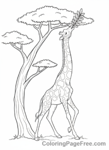 Giraffe coloring page - Giraffe Stretching High