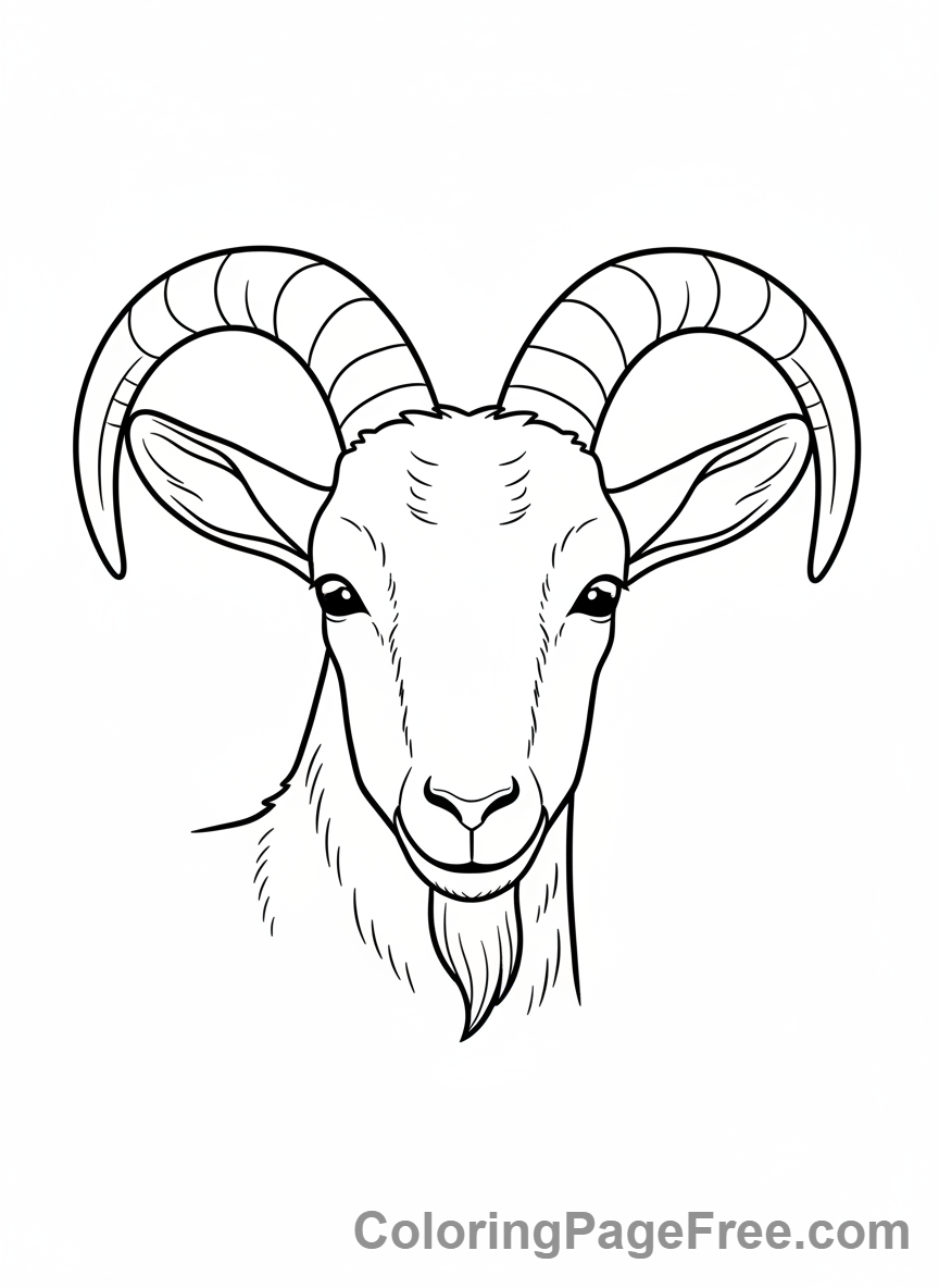 Goat coloring page - Goat big horns