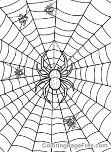 Halloween Scary coloring page - Giant spider web