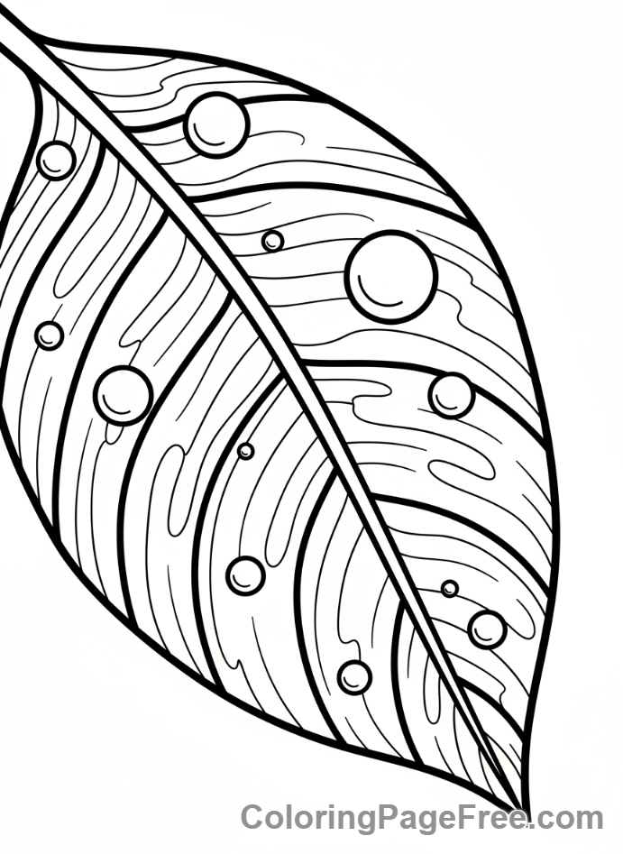 Leaves coloring page - Raindrops on leaf surface
