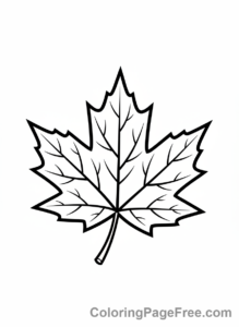 Leaves coloring page - Single maple leaf close-up