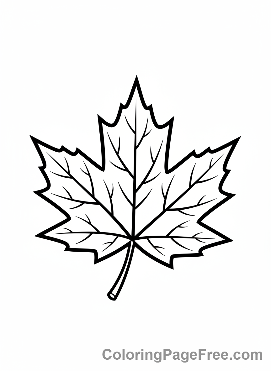 Leaves coloring page - Single maple leaf close-up