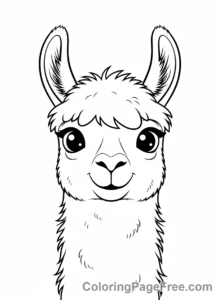 Llama coloring page - Llama face close-up