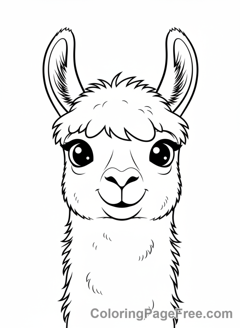 Llama coloring page - Llama face close-up