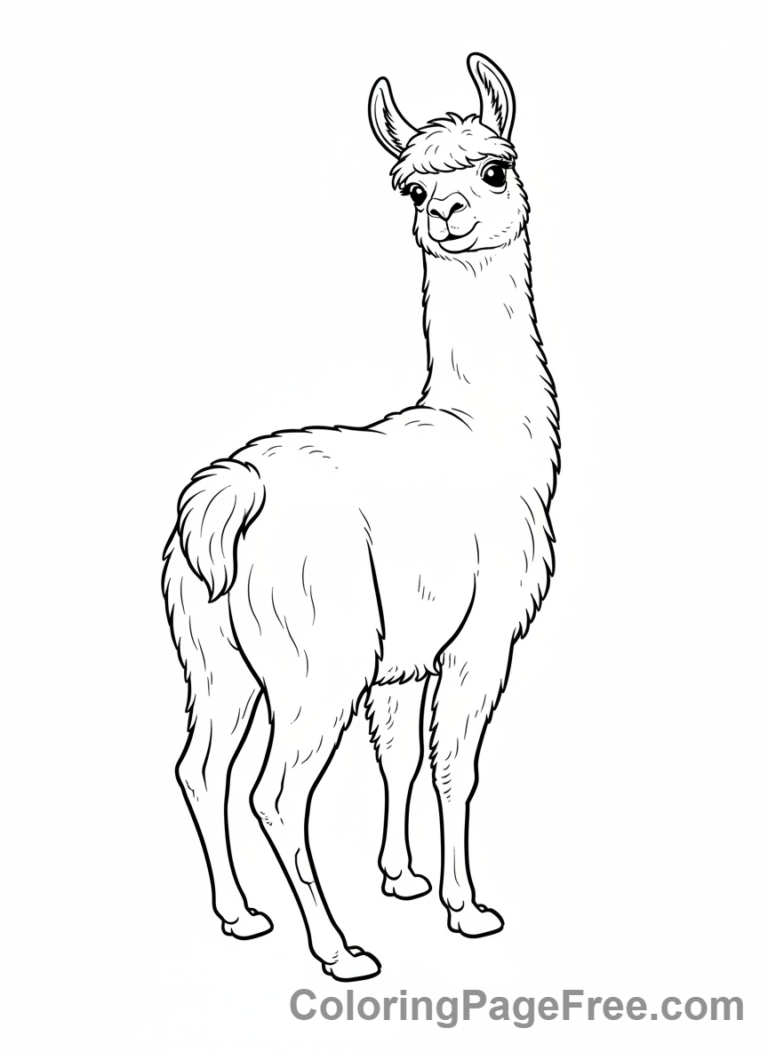 Llama coloring page - Llama looking backward