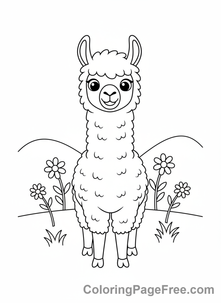 Llama coloring page - Llama standing field
