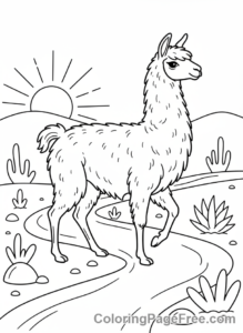 Llama coloring page - Llama walking path