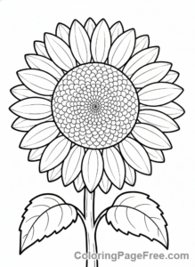 Nature coloring page - Blooming Sunflower Close
