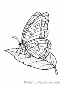 Nature coloring page - Butterfly Leaf Perch