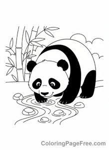 Panda coloring page - Panda drinking water
