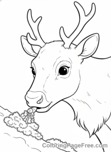 Reindeer coloring page - Reindeer eating moss